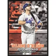 2022 Topps Welcome to the Show #WTTS-36 Pete Alonso