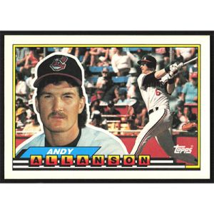 1989 Topps Big #311 Andy Allanson
