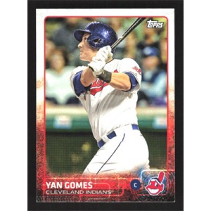 2015 Topps Team Sets #CI-9 Yan Gomes