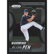 2020 Panini Prizm Warming in the Pen #WIP-14 MacKenzie Gore