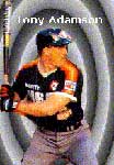 Tony Adamson Baseball Cards