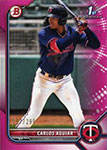 Carlos Aguiar Baseball Cards