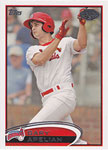 Gary Apelian Baseball Cards