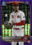 Liberts Aponte Baseball Cards