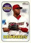 Randy Arozarena Baseball Cards