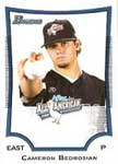 Cameron Bedrosian Baseball Cards