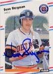Dave Bergman Baseball Cards
