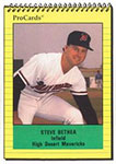 Steve Bethea Baseball Cards