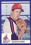 David Bird Baseball Cards