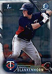 Travis Blankenhorn Baseball Cards