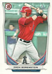 Zach Borenstein Baseball Cards