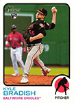Kyle Bradish Baseball Cards