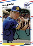 Scott Bradley Baseball Cards