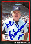 Joe Brinkman Baseball Cards