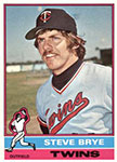 Steve Brye Baseball Cards