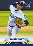 Zach Brzykcy Baseball Cards