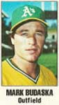 Mark Budaska Baseball Cards