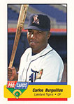 Carlos Burguillos Baseball Cards