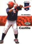 Luis Al. Castillo Baseball Cards