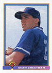 Sean Cheetham Baseball Cards