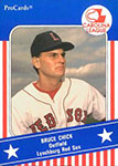 Bruce Chick Baseball Cards