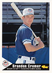 Brandon Cromer Baseball Cards