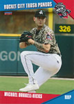 Michael Darrell-Hicks Baseball Cards