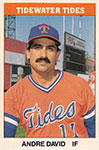Andre David Baseball Cards