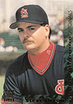 Steve Dixon Baseball Cards