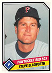 Steve Ellsworth Baseball Cards
