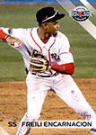 Freili Encarnacion Baseball Cards