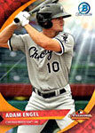 Adam Engel Baseball Cards