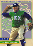 Yowill Espinal Baseball Cards