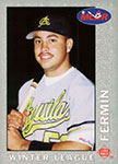 Carlos Fermin Baseball Cards