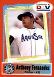 Anthony Fernandez Baseball Cards