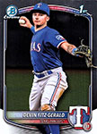 Devin Fitz-Gerald Baseball Cards
