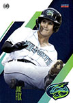Jake Fox Baseball Cards
