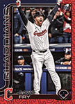 David Fry Baseball Cards