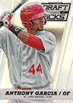 Anthony Garcia Baseball Cards