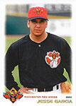 Jesse Garcia Baseball Cards