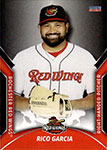 Rico Garcia Baseball Cards