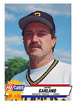 Wayne Garland Baseball Cards