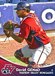 David Genao Baseball Cards