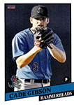 Cade Gibson Baseball Cards