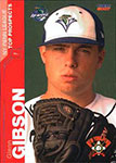 Glenn Gibson Baseball Cards