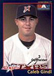 Caleb Gindl Baseball Cards