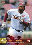 Chris Gittens Baseball Cards