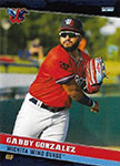 Gabriel Gonzalez Baseball Cards