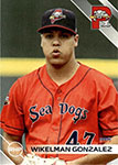 Wikelman Gonzalez Baseball Cards