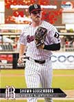 Shawn Goosenberg Baseball Cards